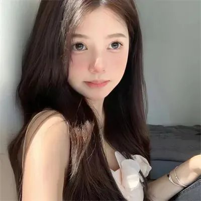 神鹰之拳